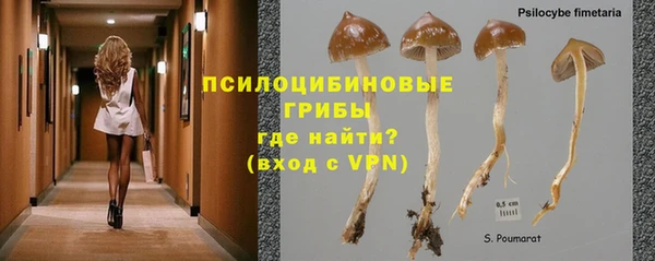 мяу мяу мука Тавда