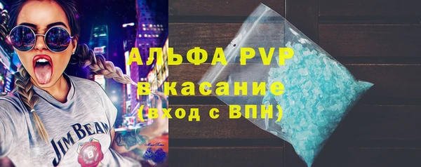 мяу мяу мука Тавда